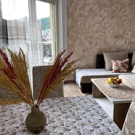 Apartment Dragan بودفا المظهر الخارجي الصورة