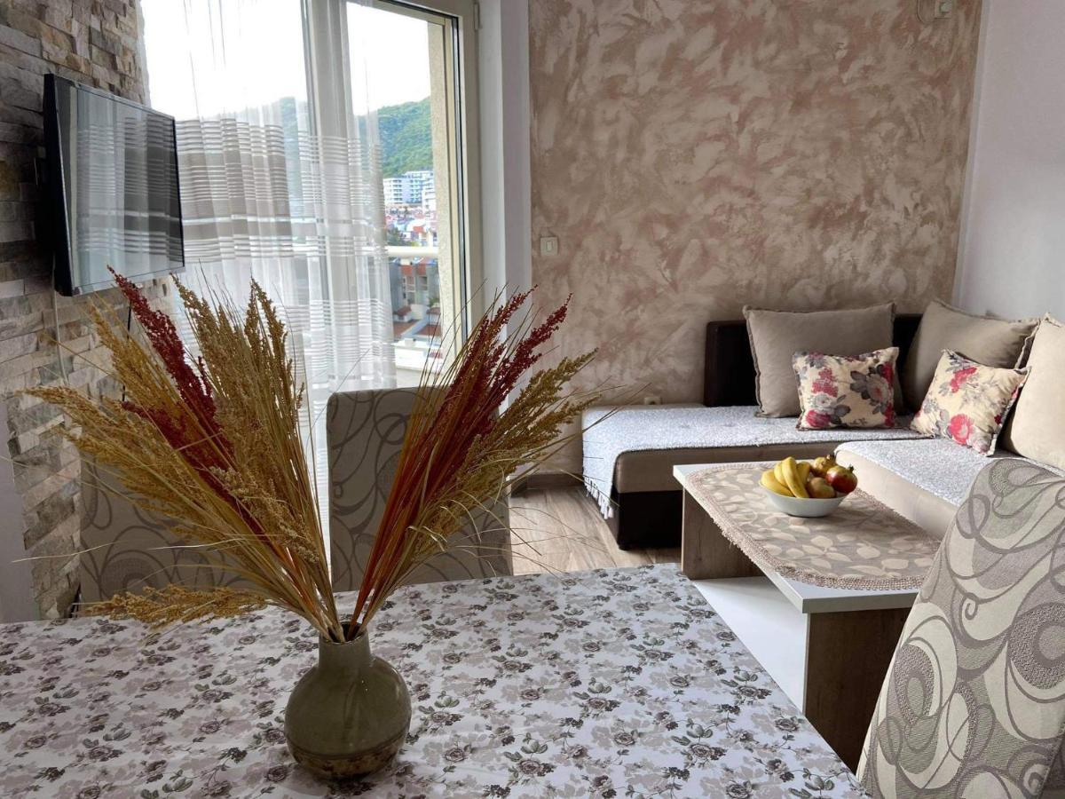 Apartment Dragan بودفا المظهر الخارجي الصورة